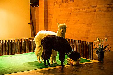 美国游戏10月销量榜 软硬件排行《孤岛惊魂6》和NS登顶